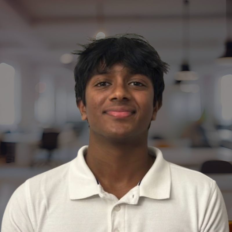 Srinath Narayanan